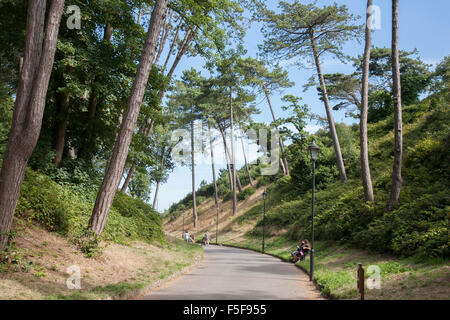 Boscombe Chine Gardens, Bournemouth; England, UK Stock Photo