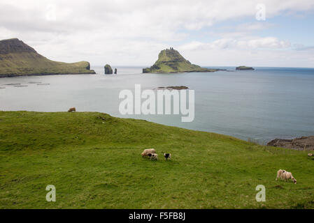 The islands Gasholmur and Tindholmur on the Faroe Islands as seen from Gasadalur with sheep Stock Photo