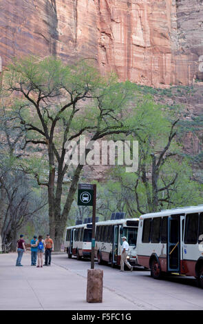 Zion National Park, Utah, USA. 09th Apr, 2012. In 2000, Zion National Park introduced a fleet of 21 shuttle buses, which are all powered by propane. By getting visitors out of their cars, the shuttles eliminate more than 5 million pounds of carbon dioxide emissions each year. Zion National Park is located in the Southwestern United States. Zion Canyon is 15 miles long and up to half a mile deep, cut through the reddish and tan-colored Navajo Sandstone by the North Fork of the Virgin River. © Ruaridh Stewart/ZUMAPRESS.com/Alamy Live News Stock Photo