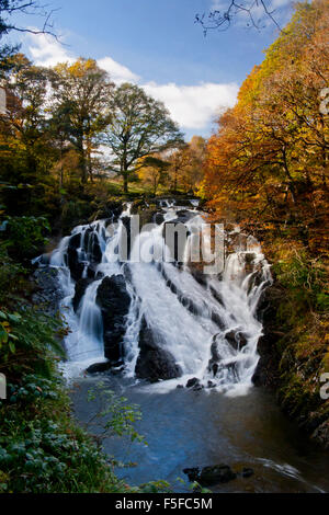 Swallow Falls in autumn Rhaeadr Ewynnol Near Betws-y-Coed Snowdonia National Park Conwy County North Wales UK Stock Photo