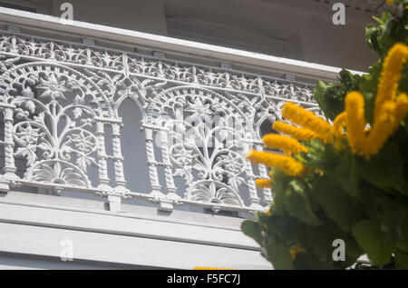 Paddington Sydney New South Wales NSW Australia typical local domestic architecture wrought ironwork or 'iron lace' Stock Photo