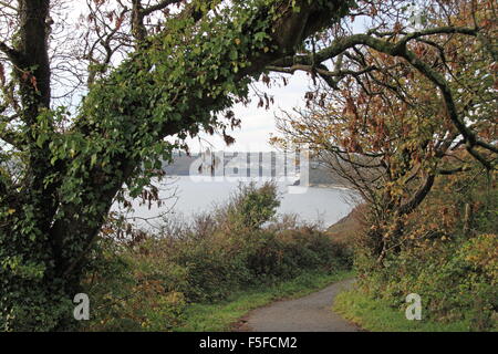 Saundersfoot from Coast Path near Amroth, Carmarthen Bay, Pembrokeshire, Dyfed, Wales, Great Britain, United Kingdom, UK, Europe Stock Photo