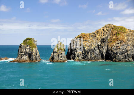 Shoreline at the entrance of the Marlborough Sound, Marlborough region, South Island, New Zealand Stock Photo