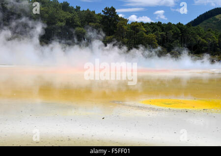 Waiotapu colorful thermal lake, Waiotapu Thermal Wonderland, Rotorua, North Island, New Zealand Stock Photo