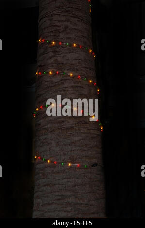 Colorful light string wrapped around a tree at night. Stock Photo