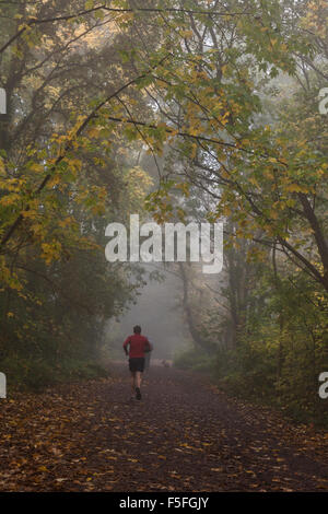 Parkland Walk in Highgate on a misty morning, London, UK Stock Photo