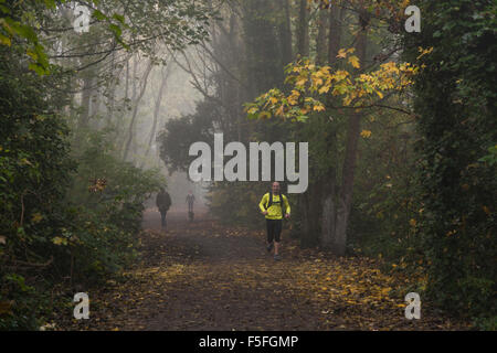 Parkland Walk in Highgate on a misty morning, London, UK Stock Photo