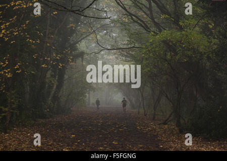 Parkland Walk in Highgate on a misty morning, London, UK Stock Photo