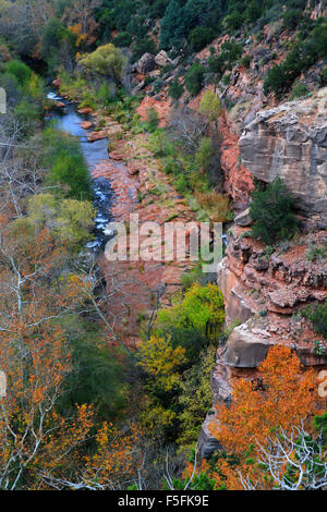 Beautiful fall colors in Oak Creek Canyon of Sedona, Arizona Stock Photo