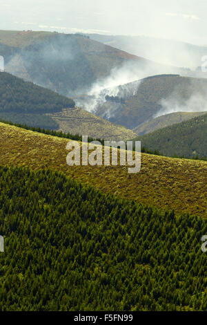 High Altitude Forest Deliberately Set To Fire Stock Photo