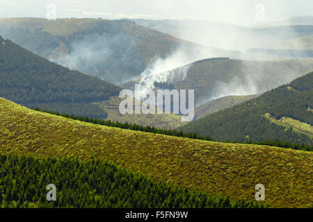 High Altitude Forest Deliberately Set To Fire In Andes Highlands Stock Photo