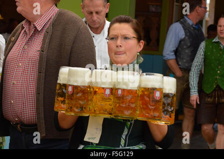 Waitress carrying masses of beer at Oktoberfest in Munich, Germany ...