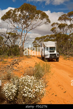 Four wheel drive campervan on red sandy outback track hemmed with wildflowers & mallee woodlands in Murray Sunset National Park Victoria  Australia Stock Photo