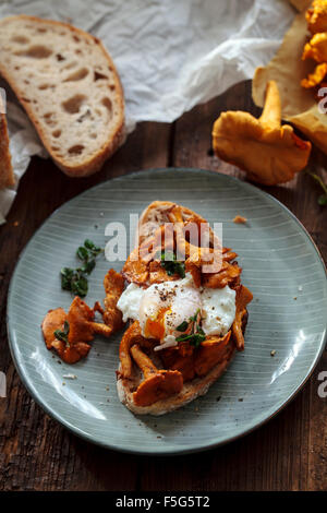 Wild girolle mushrooms and poached egg on toast Stock Photo