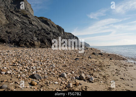 Charmouth Beach on the Jurassic Coast of Dorset with recent rock falls of fossil bearing blue lias or mudstone Stock Photo