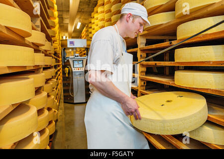 Cheese wheels being matured in a cellar at a cheese factory in the village of Echarlens. Gruyère, Switzerland. Stock Photo