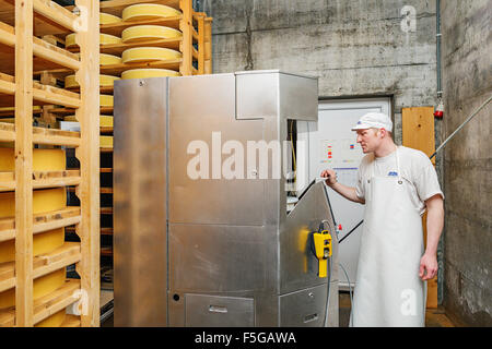 A machine brushes cheese wheels that are being matured in a cellar at a cheese factory in the village of Echarlens. Gruyère, Swi Stock Photo