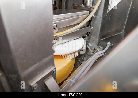 A machine brushes cheese wheels that are being matured in a cellar at a cheese factory in the village of Echarlens. Gruyère, Swi Stock Photo