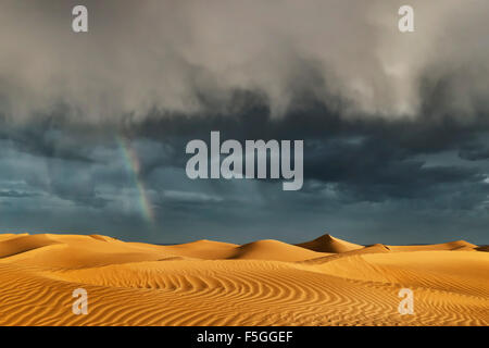 Sahara sand dunes with stormy, cloudy sky and rainbow.