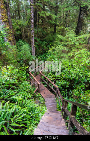 Boardwalk, Rainforest Trail, Pacific Rim National Park, Vancouver Iceland, British Columbia, Canada, North America Stock Photo