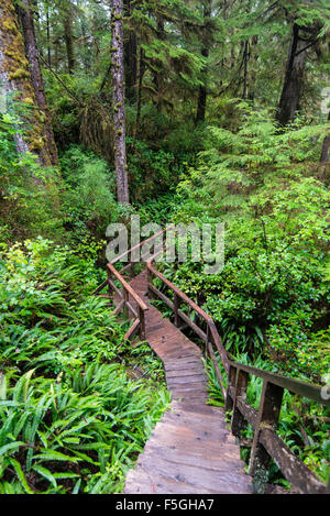 Rainforest Trail, Pacific Rim National Park, Vancouver Island, British ...