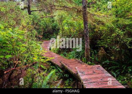 Rainforest Trail, Pacific Rim National Park, Vancouver 