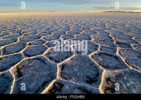 Honeycomb structure on Salar de Uyuni, salt flat, morning light, Altiplano, Lipez, Bolivia Stock Photo
