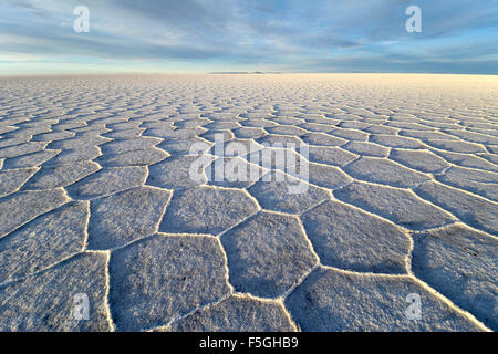 Honeycomb structure on Salar de Uyuni, salt flat, Altiplano, Lipez, Bolivia Stock Photo