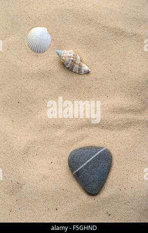 Romantic concept of a heart shaped stone and some shells on a sandy shore. Stock Photo