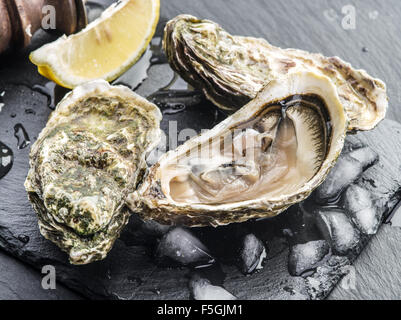 Raw oysters on the graphite board. Stock Photo