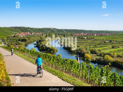 Bike path through vineyards by the Main, near Köhler, Escherndorf on the left, Nordheim am Main on the right, Franconia Stock Photo