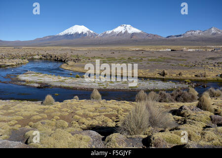 Snowcapped volcanoes Pomerape and Parinacota, Sajama National Park, border between Bolivia and Chile Stock Photo