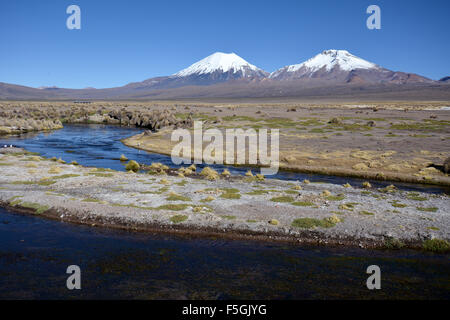 Snowcapped volcanoes Pomerape and Parinacota, Sajama National Park, border between Bolivia and Chile Stock Photo