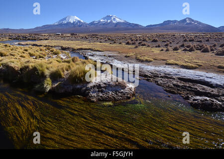 Snowcapped volcanoes Pomerape and Parinacota, Sajama National Park, border between Bolivia and Chile Stock Photo