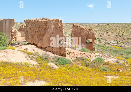 Ruins between yellow flowers on the Roof of Namaqualand trail between Skilpad and Soebatsfontein in the Namaqua National Park Stock Photo