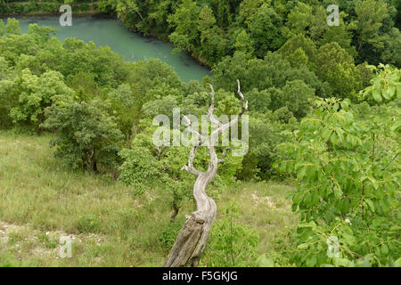 Small tributary river at the Lake of the Ozarks in central Missouri Stock Photo