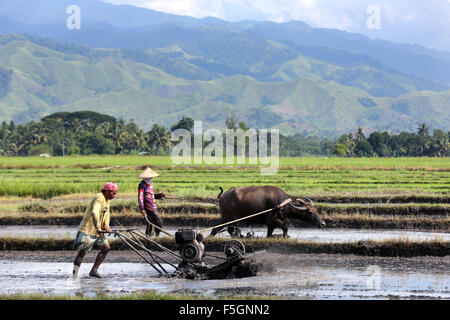 Men with motor plow and water buffalo plowing and preparing a wet paddy field for planting rice on the island of Mindanao, The Philippines Stock Photo