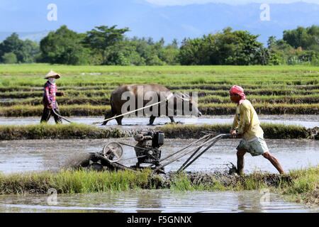 Men with motor plow and water buffalo plowing and preparing a wet paddy field for planting rice on the island of Mindanao, The Philippines Stock Photo