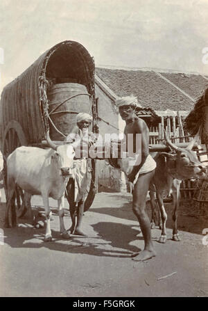 Men with a chariot drawn by cattle, India Stock Photo