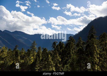 Nanyi valley in Tibet, China Stock Photo