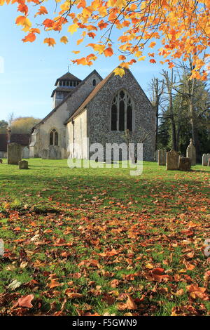 Autumn leaves in the churchyard of St Andrew's Church, Meonstoke, Hampshire, England, UK Stock Photo