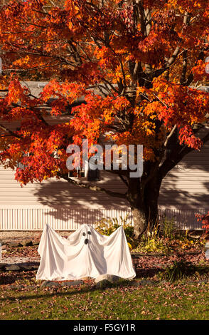 Halloween decorations and figures, Stowe, Vermomt VT, USA Stock Photo