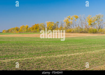 Ukrainian country landscape with seasonal agricultural fields Stock Photo