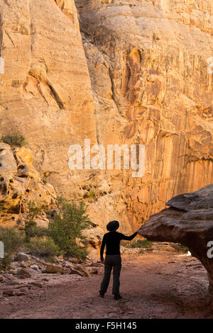 A hiker stands below Navajo Sandstone canyon walls in Grand Wash, Capitol Reef National Park, Utah Stock Photo