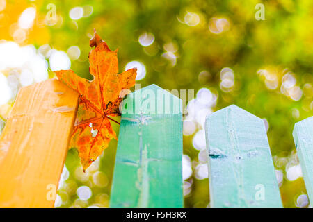 Multi colored rainbow wooden fence in autumn, garden background, soft focus, shallow depth of field Stock Photo