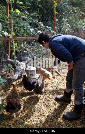 Side view of young woman bending over to feed her backyard chickens and turkeys. Stock Photo
