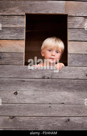 Sweden, Gotland, Faro, Boy (2-3) looking through tree house window