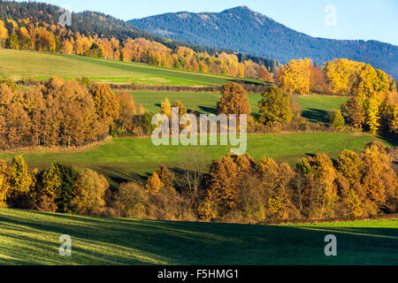Autumnal Bavarian Forest countryside, Bavarian Forest, autumn sun, 'Bavarian Forest' rock, leaves blue sky yellow red green blue Stock Photo