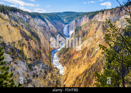 Lower Falls and Grand Canyon of the Yellowstone, from Artists Point, Yellowstone National Park, Wyoming, USA Stock Photo