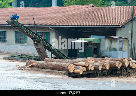 Stacked pinus radiata logs debarked in the sawmill. Stock Photo